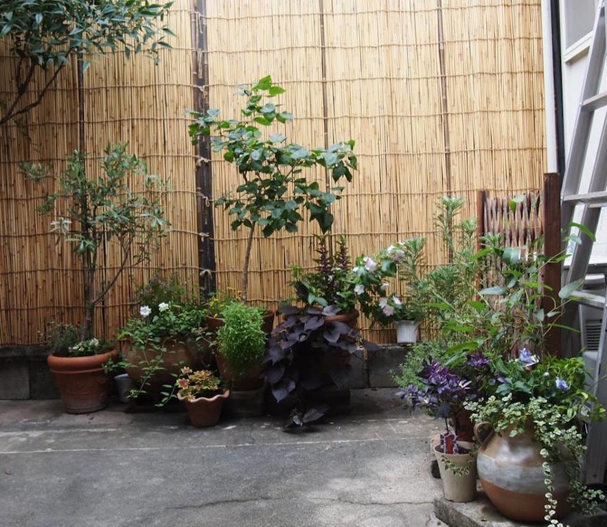 Guesthouse Usagi-Momiji Kiotó Kültér fotó